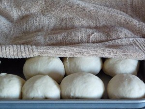 Dinner rolls rising