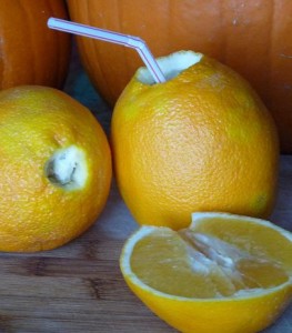 Homemade Orange Juice
