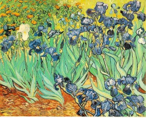 irises