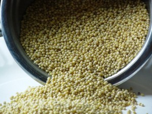 Quinoa